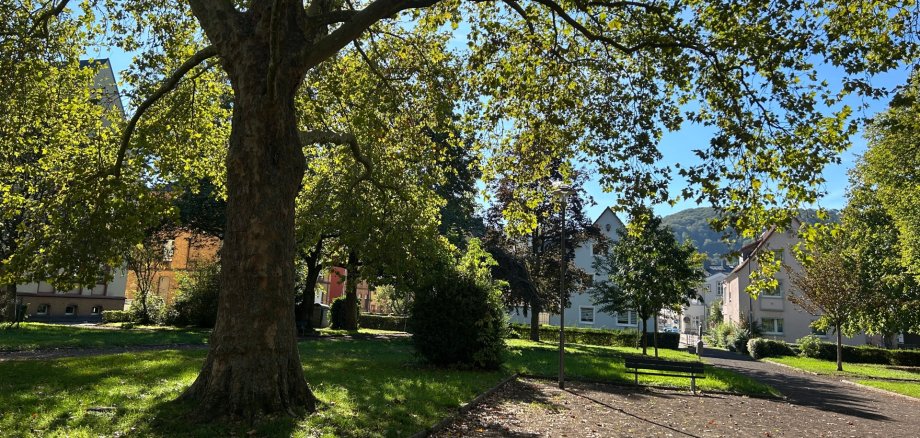 Blick in den Schillerpark in Lahnstein an einem sonnigen Tag. Im Vordergrund steht ein großer, weit verzweigter Laubbaum auf einer Grünfläche. Rechts führen Wege durch den Park, an denen eine Parkbank und eine Laterne stehen. Im Hintergrund sind weitere Bäume, Wohnhäuser und ein bewaldeter Hang zu sehen