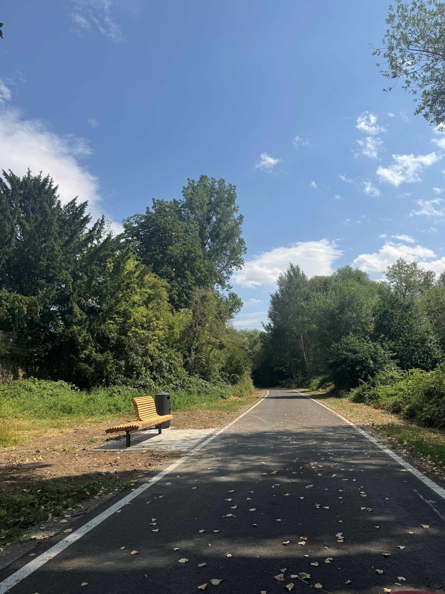 Eine frisch asphaltierte, dunkelgraue Straße führt geradeaus durch eine dicht bewachsene Grünfläche und macht im Hintergrund eine leichte Linkskurve. Auf beiden Seiten ist die Fahrbahn durch schmale weiße Randstreifen begrenzt. Links neben der Straße steht eine neue Holzbank mit geschwungener Sitzfläche und Rückenlehne auf einer kleinen gepflasterten Fläche. Direkt dahinter befindet sich ein schwarzer Abfallbehälter. Entlang der Straße wachsen zahlreiche Bäume, Sträucher und dichtes grünes Buschwerk. Auf dem Asphalt liegen vereinzelt trockene Blätter, während die Baumkronen stellenweise Schatten auf die Fahrbahn werfen. Über den Bäumen erstreckt sich ein weitgehend blauer Himmel mit einigen weißen Wolken. Menschen oder Fahrzeuge sind nicht zu sehen.