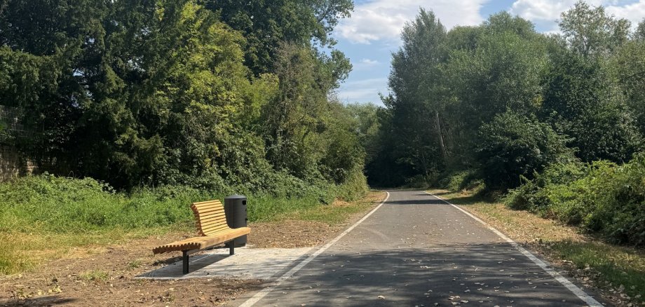 Eine frisch asphaltierte, dunkelgraue Straße führt geradeaus durch eine dicht bewachsene Grünfläche und macht im Hintergrund eine leichte Linkskurve. Auf beiden Seiten ist die Fahrbahn durch schmale weiße Randstreifen begrenzt. Links neben der Straße steht eine neue Holzbank mit geschwungener Sitzfläche und Rückenlehne auf einer kleinen gepflasterten Fläche. Direkt dahinter befindet sich ein schwarzer Abfallbehälter. Entlang der Straße wachsen zahlreiche Bäume, Sträucher und dichtes grünes Buschwerk. Auf dem Asphalt liegen vereinzelt trockene Blätter, während die Baumkronen stellenweise Schatten auf die Fahrbahn werfen. Über den Bäumen erstreckt sich ein weitgehend blauer Himmel mit einigen weißen Wolken. Menschen oder Fahrzeuge sind nicht zu sehen.