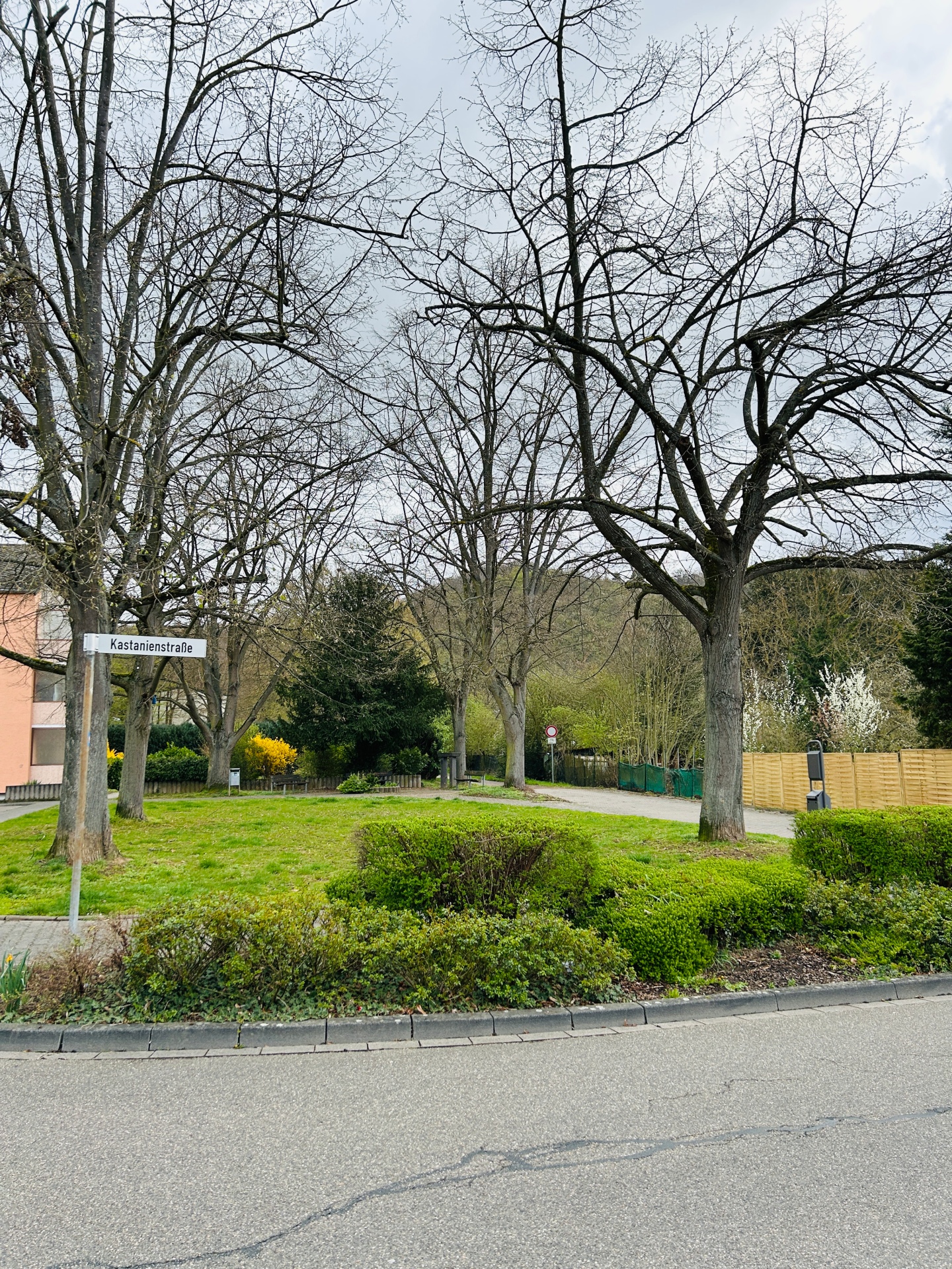 Blick auf einen begrünten Bereich an der Kastanienstraße in Lahnstein. Im Vordergrund stehen mehrere große Laubbäume sowie Sträucher und Hecken. Links im Bild ist ein Straßenschild mit der Aufschrift „Kastanienstraße“ zu sehen.
