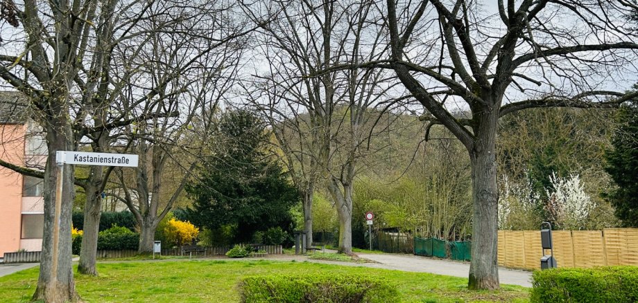 Kastanienstraße Lahnstein Blick auf einen begrünten Bereich an der Kastanienstraße in Lahnstein. Im Vordergrund stehen mehrere große Laubbäume sowie Sträucher und Hecken. Links im Bild ist ein Straßenschild mit der Aufschrift „Kastanienstraße“ zu sehen.