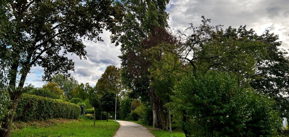 Baumpflegearbeiten Lahnstein Gepflasterter Weg in einer begrünten Wohnanlage, gesäumt von Rasenflächen, Hecken und zahlreichen großen Laubbäumen. Entlang des Weges stehen mehrere Laternen. Über den Baumkronen ist ein teilweise bewölkter Himmel mit blauen Abschnitten zu sehen.