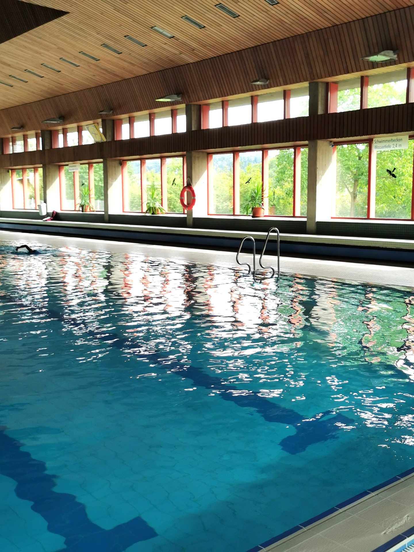 Innenansicht eines Hallenbads mit einem großen rechteckigen Schwimmbecken im Vordergrund. Das Wasser ist blau und leicht bewegt, auf der Oberfläche spiegeln sich die hohen Fenster. Am gegenüberliegenden Beckenrand befindet sich eine Metallleiter. Entlang der Wand verläuft eine lange Fensterfront mit roten Rahmen, durch die Bäume und Grünflächen zu sehen sind. Zwischen den Fenstern hängen ein roter Rettungsring und ein Hinweisschild zur Wassertiefe. Mehrere Topfpflanzen stehen auf den Fensterbänken. Wände und Decke sind teilweise mit dunklen Holzlamellen verkleidet.