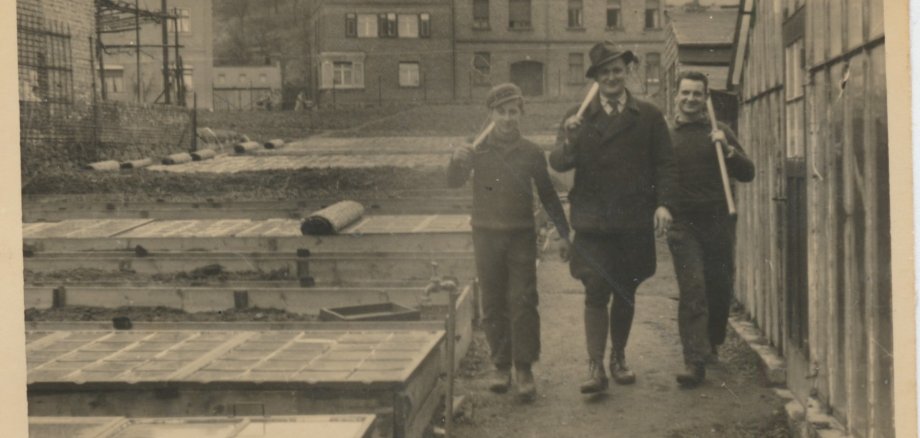 Historische Schwarz-Weiß-Aufnahme einer Gärtnerei in Lahnstein. Drei Männer gehen nebeneinander auf einem schmalen Erdweg zwischen mehreren rechteckigen Frühbeeten mit flachen Glasabdeckungen auf der linken Seite und einer hohen Holzwand auf der rechten Seite. Alle drei tragen Arbeitskleidung und haben lange Gartengeräte über die Schulter gelegt. Der Mann in der Mitte trägt einen dunklen Mantel, einen Hut und eine Krawatte. Die beiden anderen Männer tragen einfachere Arbeitskleidung und Mützen beziehungsweise kurze Haare. Im Hintergrund sind mehrgeschossige Wohnhäuser mit unterschiedlichen Dachformen zu sehen. Das Foto ist leicht vergilbt und von einem hellen, altersbedingt verfärbten Rand umgeben.