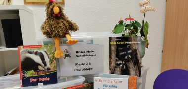 Bücherkiste der Stadtbücherei mit Kinderbüchern zu Natur und Tieren, darauf das Maskottchen Hilde, eine Stoffhenne, sowie daneben eine Pflanze und davor ein Stuhl in einem Raum.