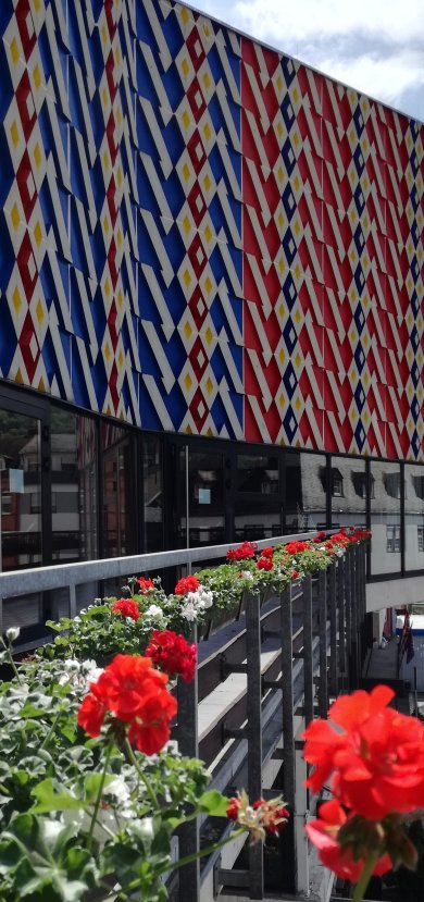 Stadthalle Lahnstein Auf der Außenfassade der Stadthalle Lahnstein ist der Teppichboden der Halle gezeigt