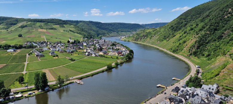 Blick von einer Anhöhe über die Moselschleife bei Beilstein: Der Fluss windet sich durch eine grüne Weinlandschaft, umgeben von steilen bewaldeten Hängen. Am Ufer liegen die dicht bebauten Häuser des historischen Ortskerns, während sich auf der gegenüberliegenden Seite Weinberge und Felder erstrecken. Über der idyllischen Landschaft spannt sich ein weiter blauer Himmel mit feinen Wolken.