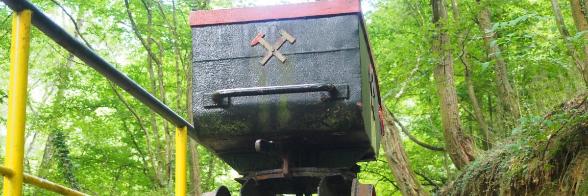 Lore; Themenweg Bergbau Lahnstein Friedrichssegen Alter Grubenwagen auf einem kurzen Gleisstück inmitten eines bewaldeten Bereichs. Die Aufnahme entstand auf einem Waldweg.