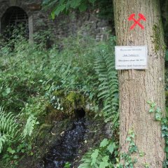 Bergbaupfad Lahnstein Friedrichssegen Eine kleine Quelle oder ein Wasserlauf im Wald mit einem roten, aufgesprühten Zeichen Schlägel und Eisen an einem Baum.