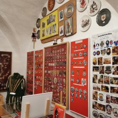 CCO-Fastnachtsmuseum in Schloss Martinsburg Lahnstein Ausstellungsraum mit mehreren roten Schautafeln an den Wänden. Zahlreiche kleine Exponate, Orden und Fotografien sind übersichtlich präsentiert.